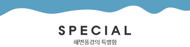 펜션특별함